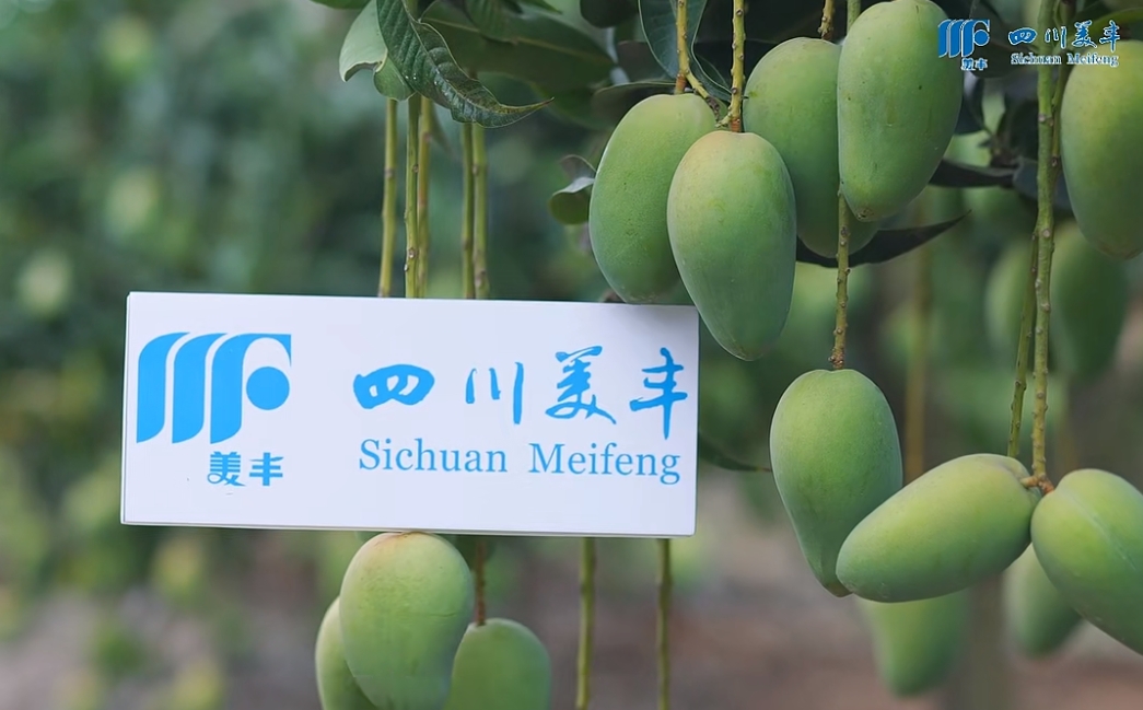 南方農(nóng)村報：?美豐系列新品熱銷海南，讓品質(zhì)提升更輕松