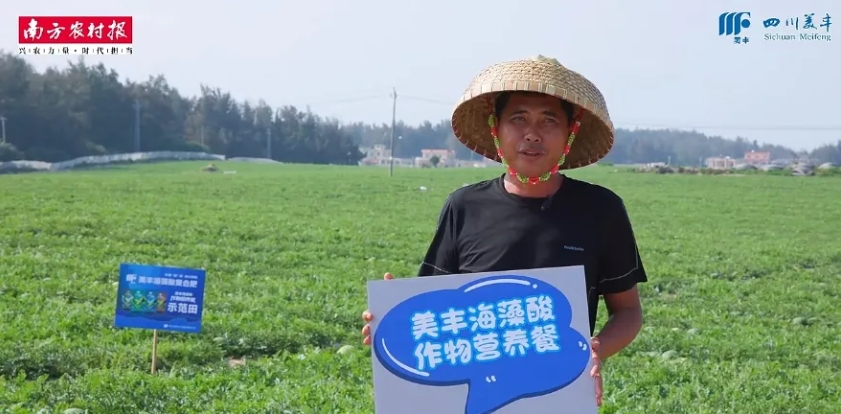南方農(nóng)村報：美豐發(fā)力，海南島瓜果翻倍甜蜜