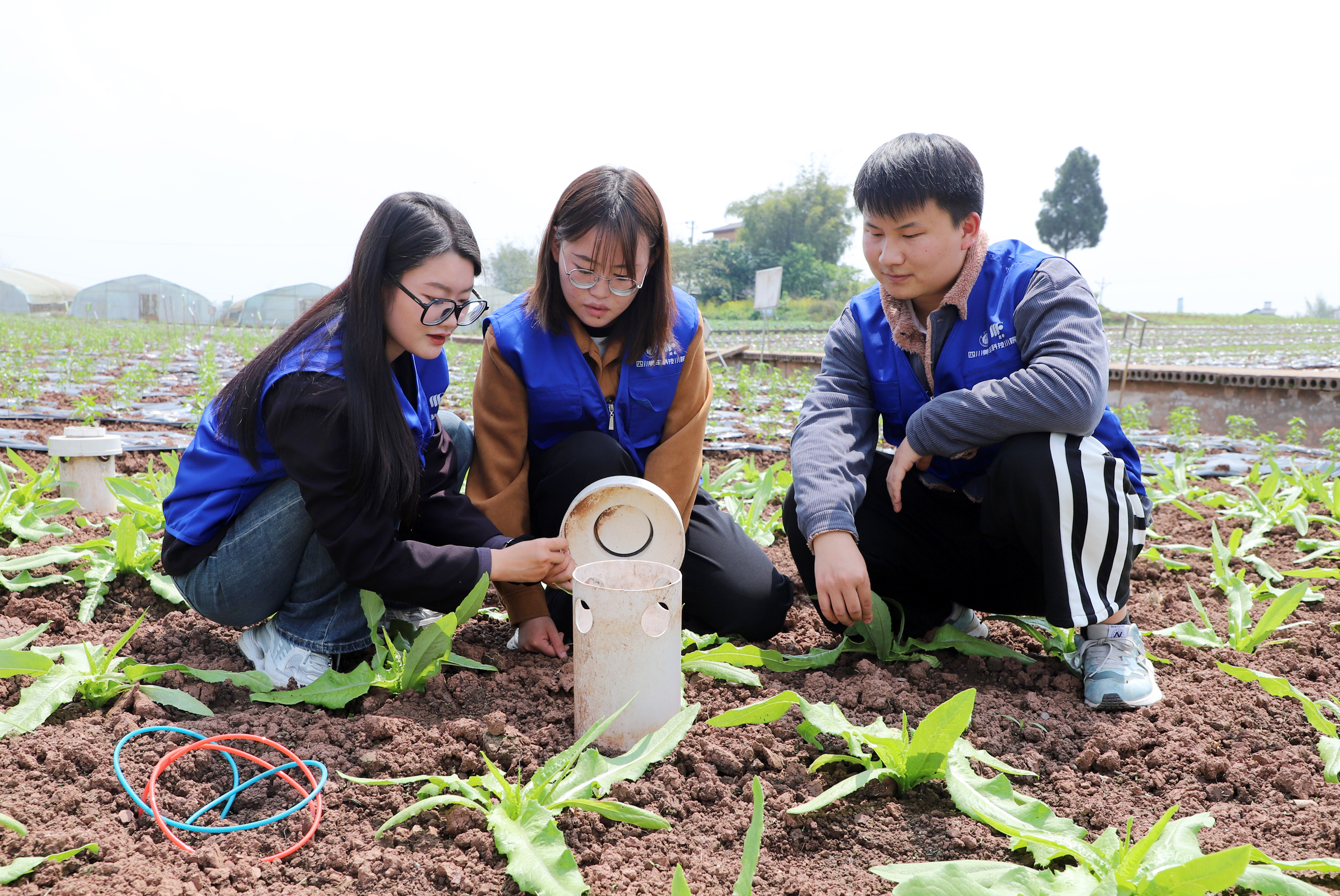 「自找苦吃」是一種怎樣的體驗(yàn)？