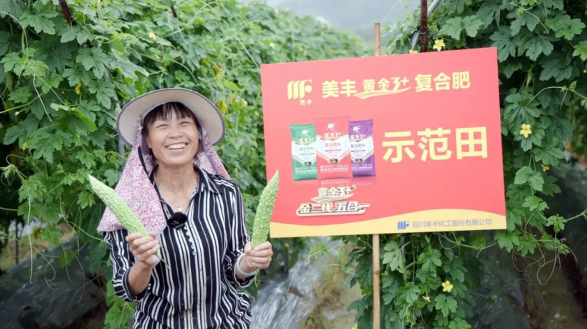 美豐肥料守護(hù)餐桌上的“苦”與“甜”