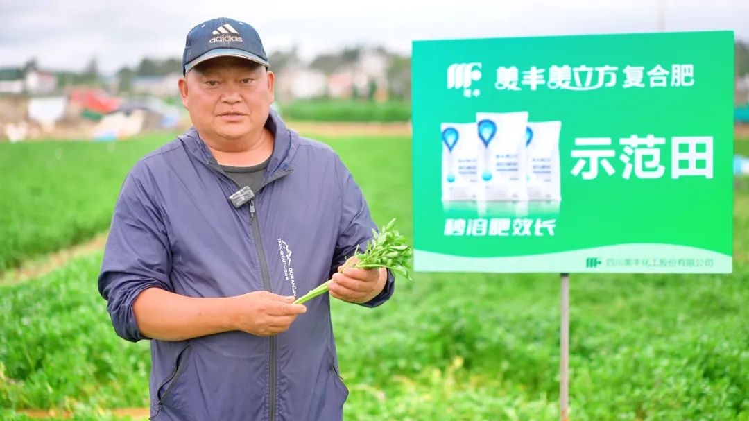 南方農(nóng)村報(bào)：美豐好肥助力彩云之南果蔬香飄四季